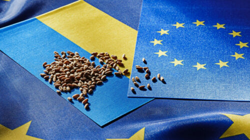 Kijev nezadovoljan Evropskom unijom koja štiti svoje tržište od Ukrajine