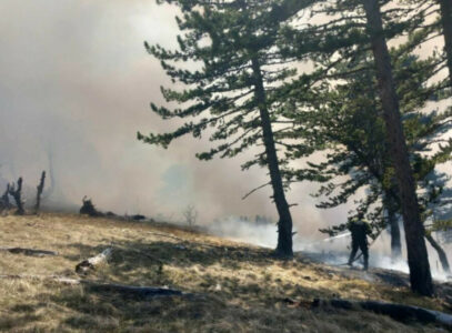 Mojkovački vatrogasci ugasili požar na Prošćenskim planinama