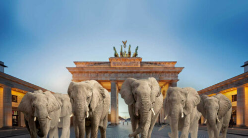 Predsjednik Bocvane namjerava da kancelaru Šolcu pošalje 20 hiljada slonova u Njemačku