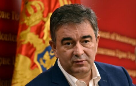 MEDOJEVIĆ Crna Gora je Kolumbija na Jadranu, političke odluke se donose van institucija