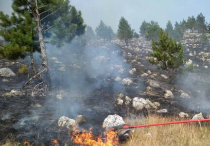 Upućen apel za pomoć državnim organima i službama zbog požara koji prijeti NP „Durmitor“