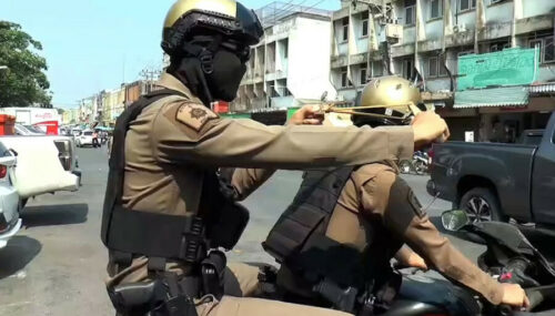 TAJLAND Policija uključena u borbu protiv bandi majmuna koji terorišu grad Lopburi
