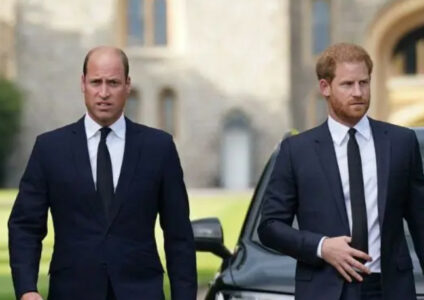 Britanski kralj žali zbog svojih propusta u vaspitanju sinova