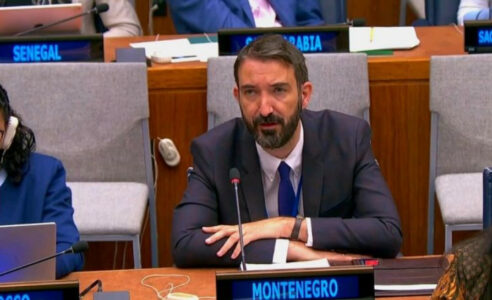 VRANEŠ Odluka da Crna Gora glasa za rezoluciju o Srebrenici nije narodna, već pojedinih političara