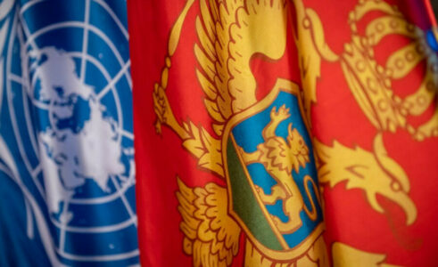 MANDIĆ Danas je srpski narod, bez obzira na to gdje živi, svojim srcem u UN