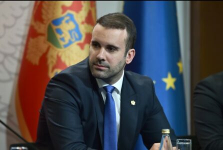 CRNOGORSKI PREMIJER Crna Gora od neobavezujuće Rezolucije neće dobiti ništa, niti će biti štete