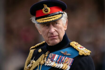 Strah od kineskih službi spriječio kralja Čarlsa da zamijeni kokarde britanskim vojnicima