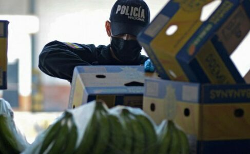 Iz Ekvadora umalo poslali banane sa kokainom u Rusiju